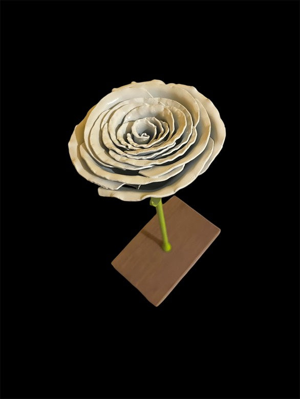 Rose blanche eden Leroiseven 3