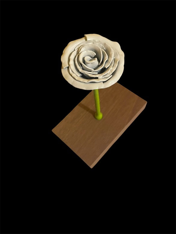 Rose blanche eden Leroiseven 4