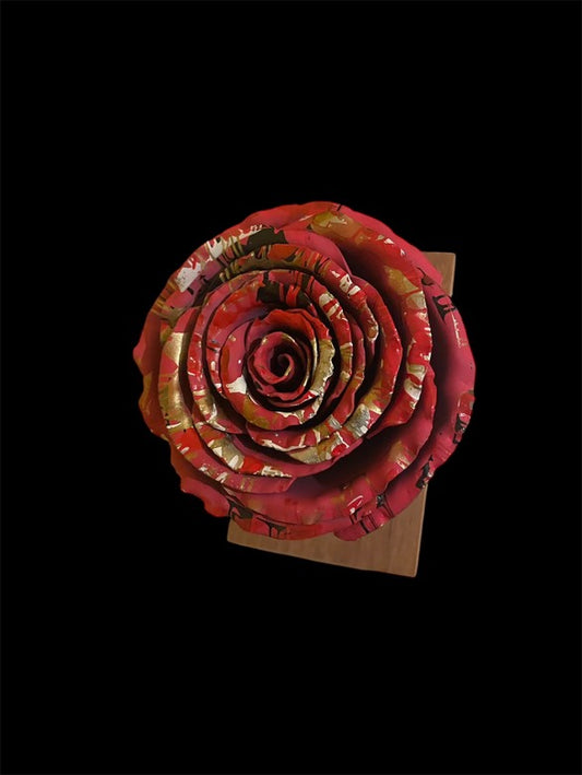 Rose multicolore Leroiseven 2