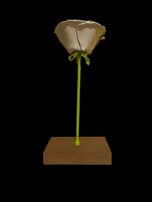 Rose blanche eden Leroiseven 3